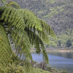 2017-03 New Zealand/Tarawera/DSC_0464.JPG